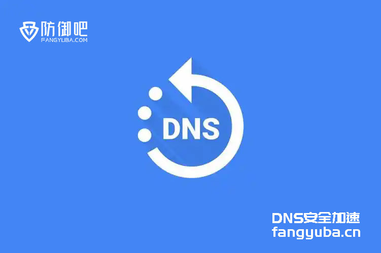 DNS安全加速